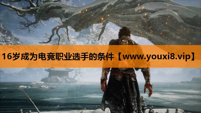 16岁成为电竞职业选手的条件