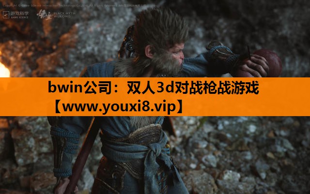 bwin公司：双人3d对战枪战游戏