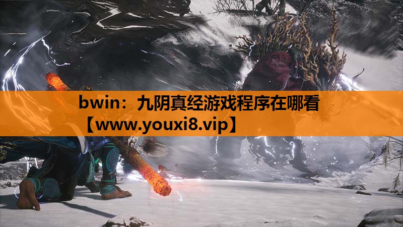 bwin：九阴真经游戏程序在哪看