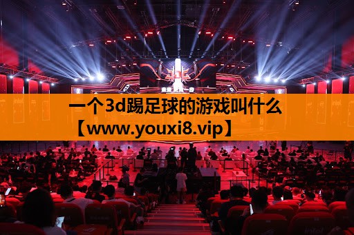 一个3d踢足球的游戏叫什么