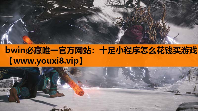 bwin必赢唯一官方网站：十足小程序怎么花钱买游戏