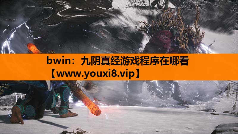 九阴真经游戏程序在哪看